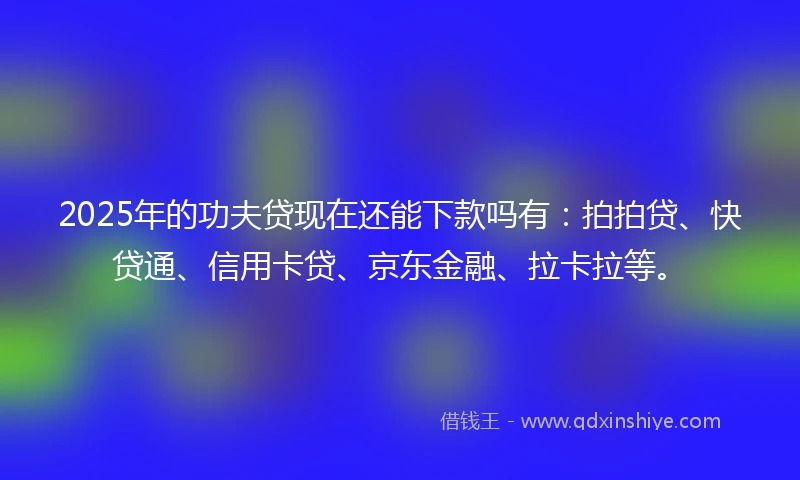 2025年的功夫贷现在还能下款吗有：拍拍贷、快贷通、信用卡贷、京东金融、拉卡拉等。