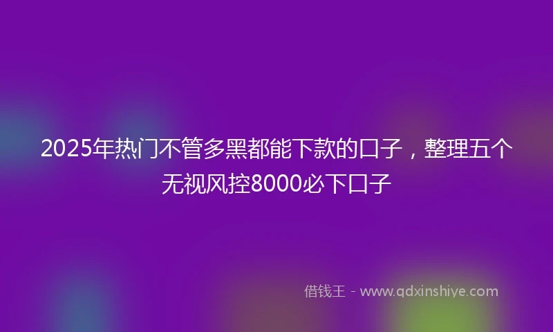 2025年热门不管多黑都能下款的口子，整理五个无视风控8000必下口子