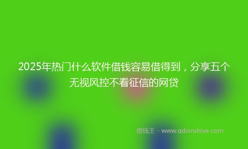 2025年热门什么软件借钱容易借得到，分享五个无视风控不看征信的网贷