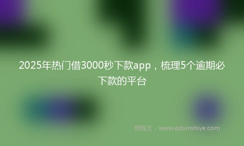 2025年热门借3000秒下款app，梳理5个逾期必下款的平台