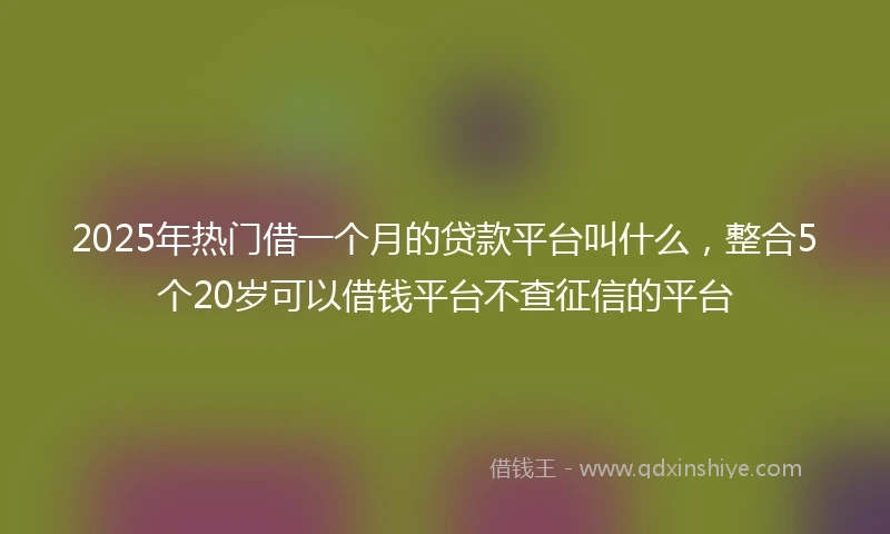 2025年热门借一个月的贷款平台叫什么，整合5个20岁可以借钱平台不查征信的平台