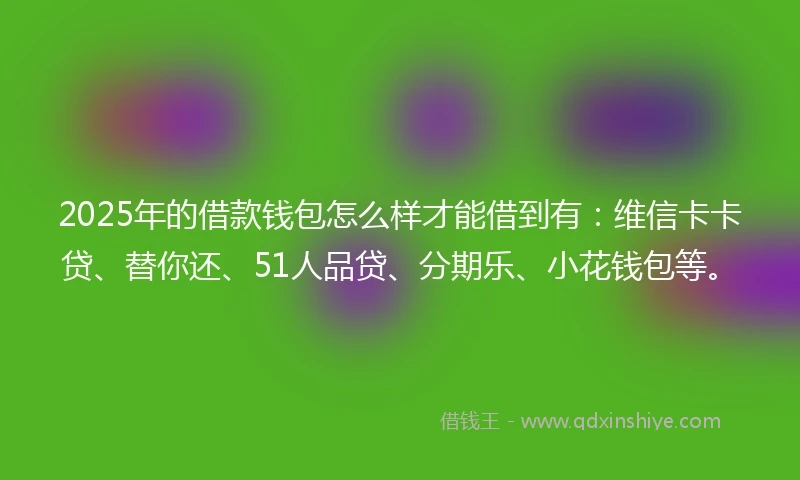 2025年的借款钱包怎么样才能借到有：维信卡卡贷、替你还、51人品贷、分期乐、小花钱包等。