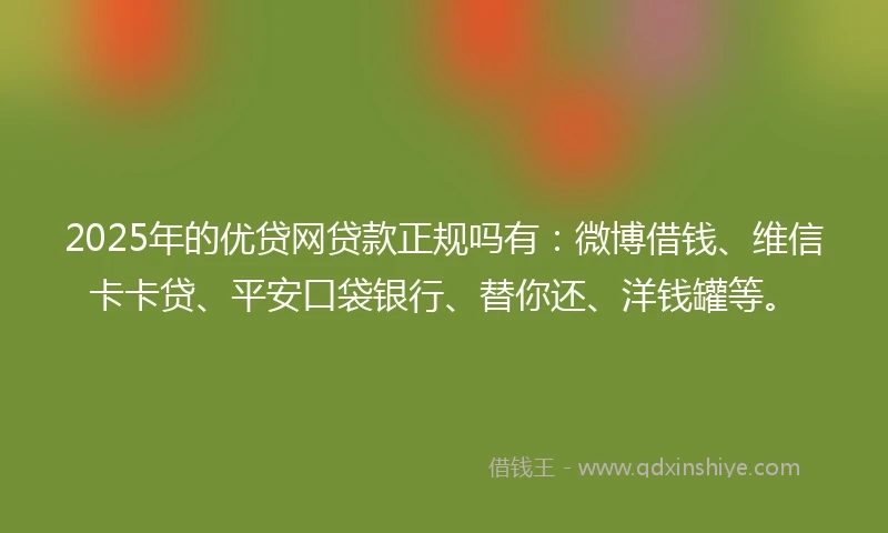 2025年的优贷网贷款正规吗有：微博借钱、维信卡卡贷、平安口袋银行、替你还、洋钱罐等。