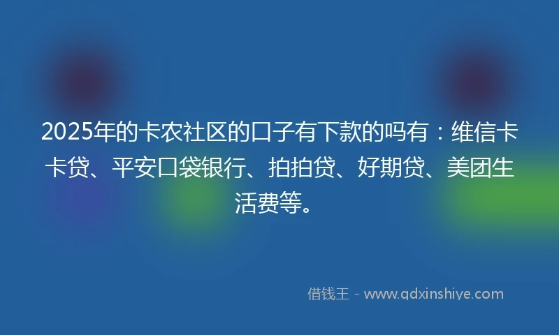 2025年的卡农社区的口子有下款的吗有：维信卡卡贷、平安口袋银行、拍拍贷、好期贷、美团生活费等。