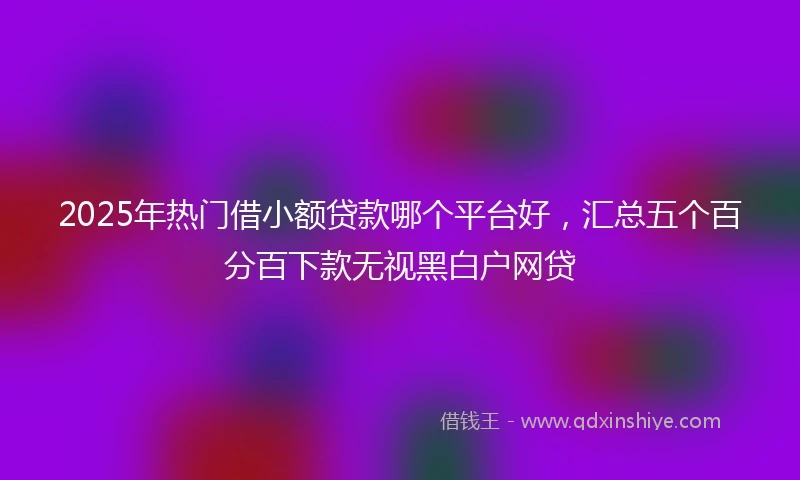 2025年热门借小额贷款哪个平台好，汇总五个百分百下款无视黑白户网贷