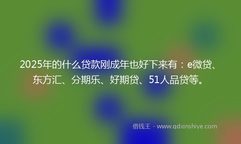 2025年的什么贷款刚成年也好下来有：e微贷、东方汇、分期乐、好期贷、51人品贷等。