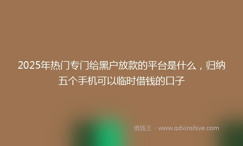 2025年热门专门给黑户放款的平台是什么，归纳五个手机可以临时借钱的口子