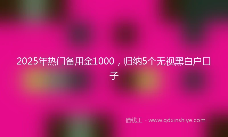 2025年热门备用金1000，归纳5个无视黑白户口子