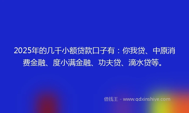2025年的几千小额贷款口子有：你我贷、中原消费金融、度小满金融、功夫贷、滴水贷等。