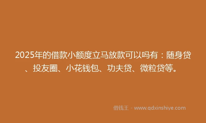 2025年的借款小额度立马放款可以吗有：随身贷、投友圈、小花钱包、功夫贷、微粒贷等。
