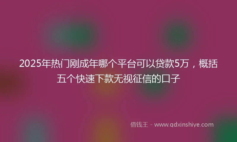 2025年热门刚成年哪个平台可以贷款5万，概括五个快速下款无视征信的口子