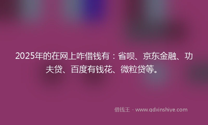 2025年的在网上咋借钱有：省呗、京东金融、功夫贷、百度有钱花、微粒贷等。