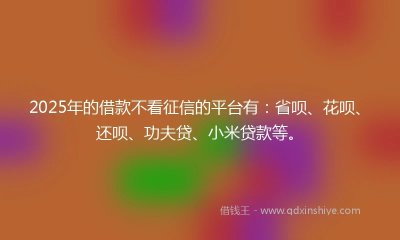 2025年的借款不看征信的平台有：省呗、花呗、还呗、功夫贷、小米贷款等。