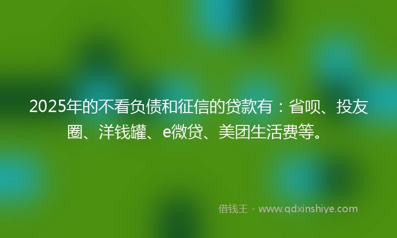 2025年的不看负债和征信的贷款有:省呗、投友圈、洋钱罐、e微贷、美团生活费等。