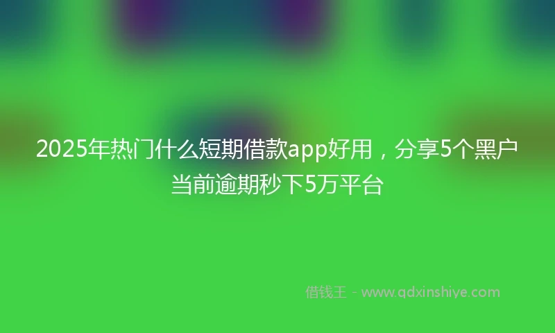 2025年热门什么短期借款app好用，分享5个黑户当前逾期秒下5万平台