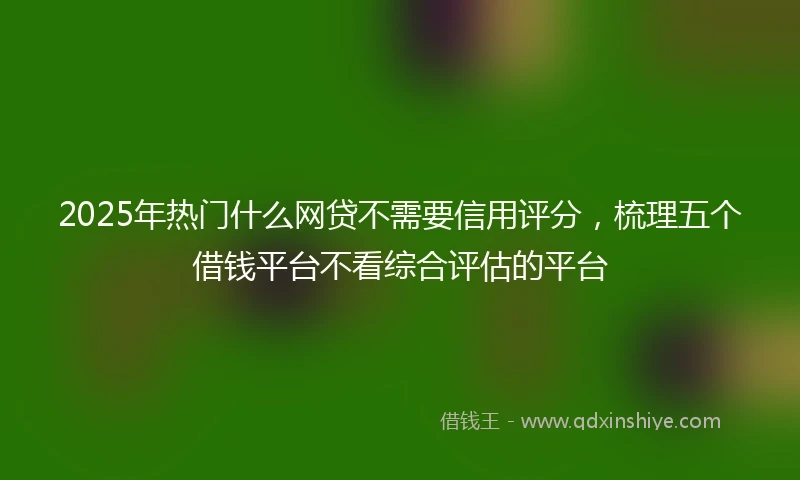 2025年热门什么网贷不需要信用评分，梳理五个借钱平台不看综合评估的平台