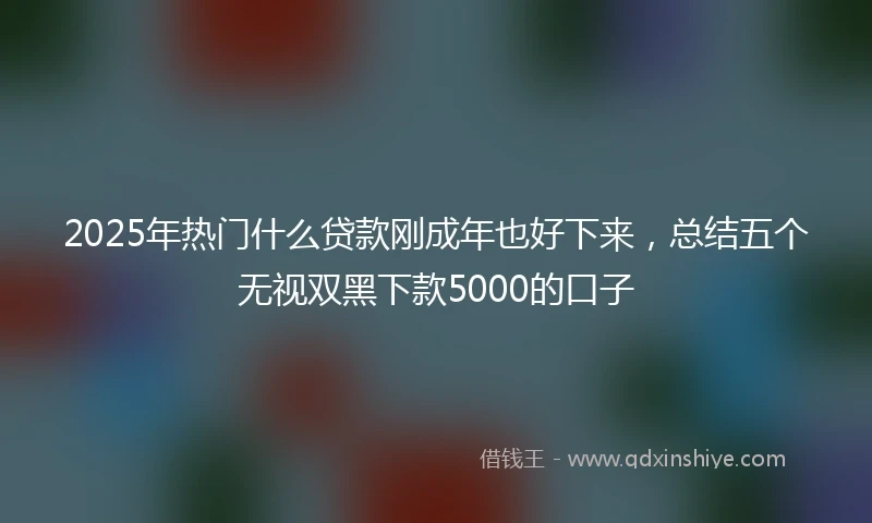 2025年热门什么贷款刚成年也好下来，总结五个无视双黑下款5000的口子