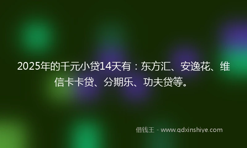2025年的千元小贷14天有：东方汇、安逸花、维信卡卡贷、分期乐、功夫贷等。