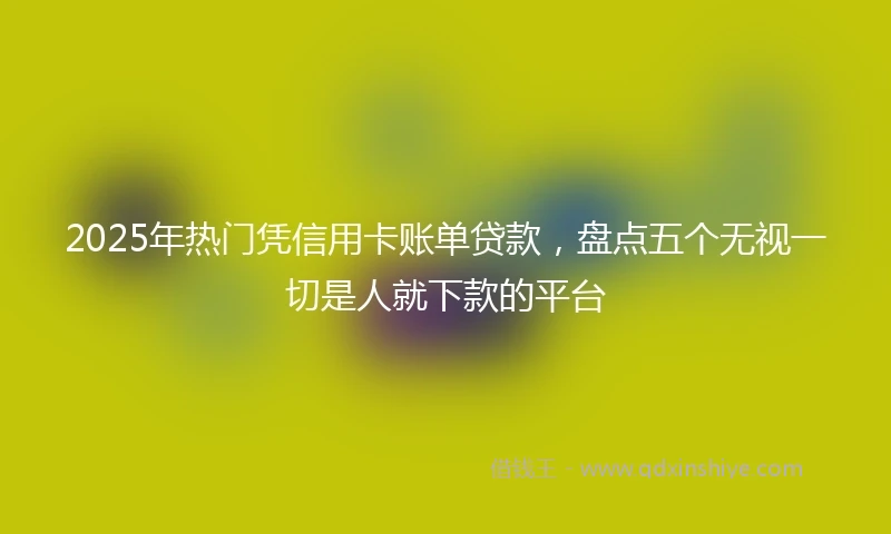 2025年热门凭信用卡账单贷款，盘点五个无视一切是人就下款的平台