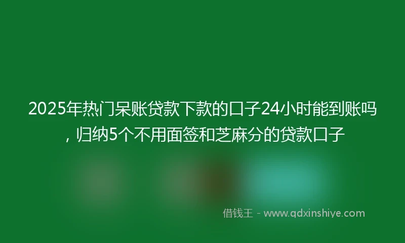 2025年热门呆账贷款下款的口子24小时能到账吗，归纳5个不用面签和芝麻分的贷款口子