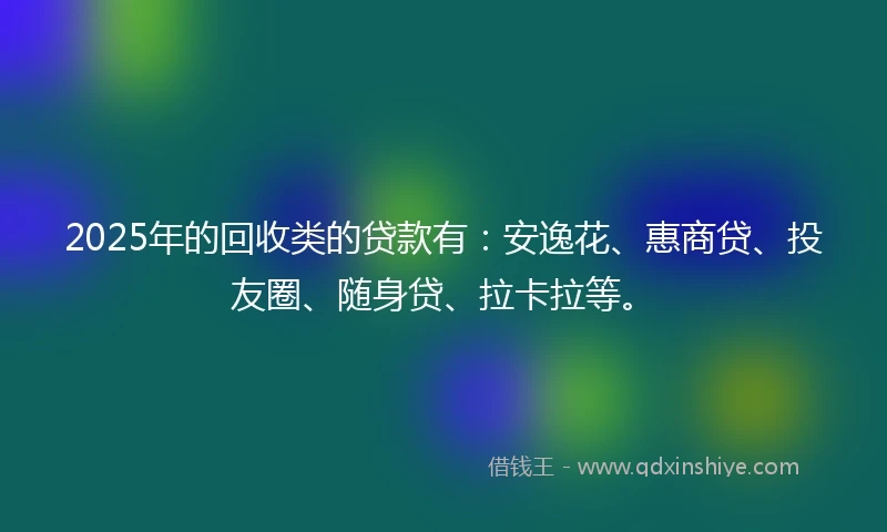 2025年的回收类的贷款有：安逸花、惠商贷、投友圈、随身贷、拉卡拉等。