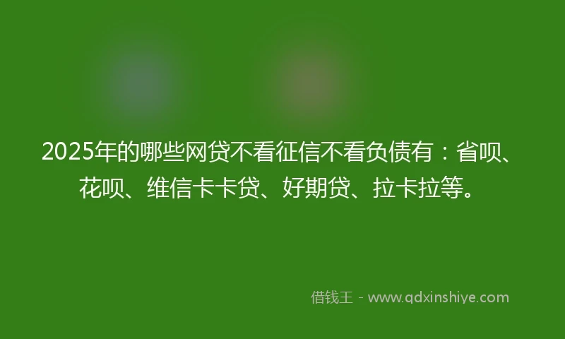 2025年的哪些网贷不看征信不看负债有：省呗、花呗、维信卡卡贷、好期贷、拉卡拉等。