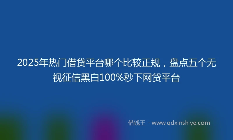 2025年热门借贷平台哪个比较正规，盘点五个无视征信黑白100%秒下网贷平台