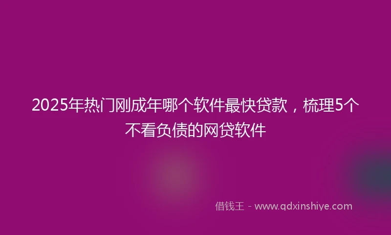 2025年热门刚成年哪个软件最快贷款,梳理5个不看负债的网贷软件