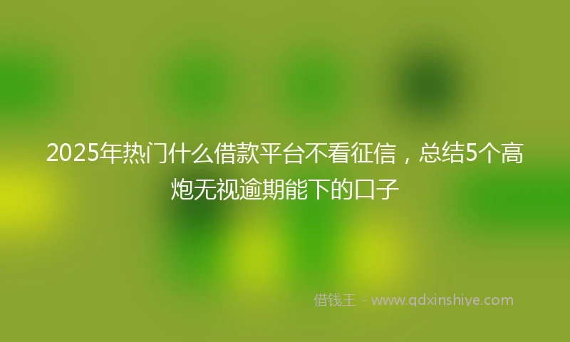 2025年热门什么借款平台不看征信，总结5个高炮无视逾期能下的口子