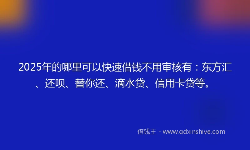 2025年的哪里可以快速借钱不用审核有：东方汇、还呗、替你还、滴水贷、信用卡贷等。