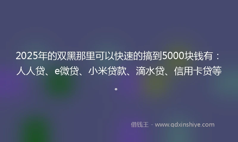 2025年的双黑那里可以快速的搞到5000块钱有：人人贷、e微贷、小米贷款、滴水贷、信用卡贷等。