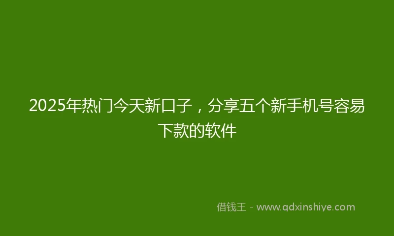 2025年热门今天新口子，分享五个新手机号容易下款的软件