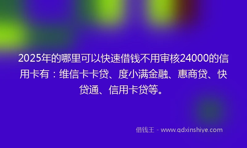 2025年的哪里可以快速借钱不用审核24000的信用卡有：维信卡卡贷、度小满金融、惠商贷、快贷通、信用卡贷等。