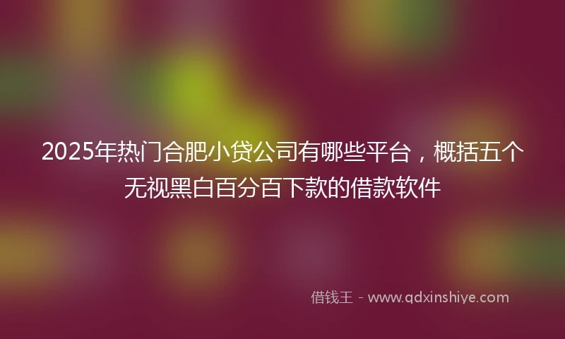 2025年热门合肥小贷公司有哪些平台,概括五个无视黑白百分百下款的借款软件