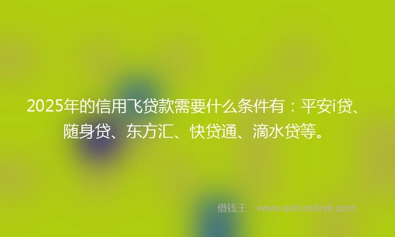 2025年的信用飞贷款需要什么条件有：平安i贷、随身贷、东方汇、快贷通、滴水贷等。