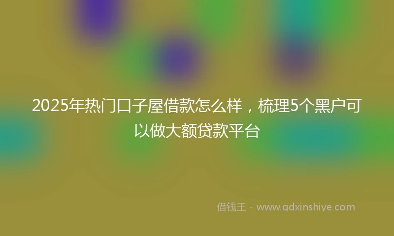 2025年热门口子屋借款怎么样，梳理5个黑户可以做大额贷款平台