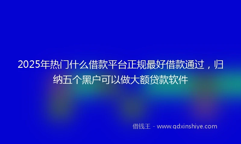 2025年热门什么借款平台正规最好借款通过，归纳五个黑户可以做大额贷款软件