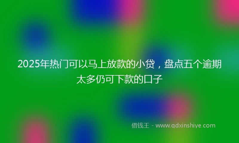 2025年热门可以马上放款的小贷，盘点五个逾期太多仍可下款的口子