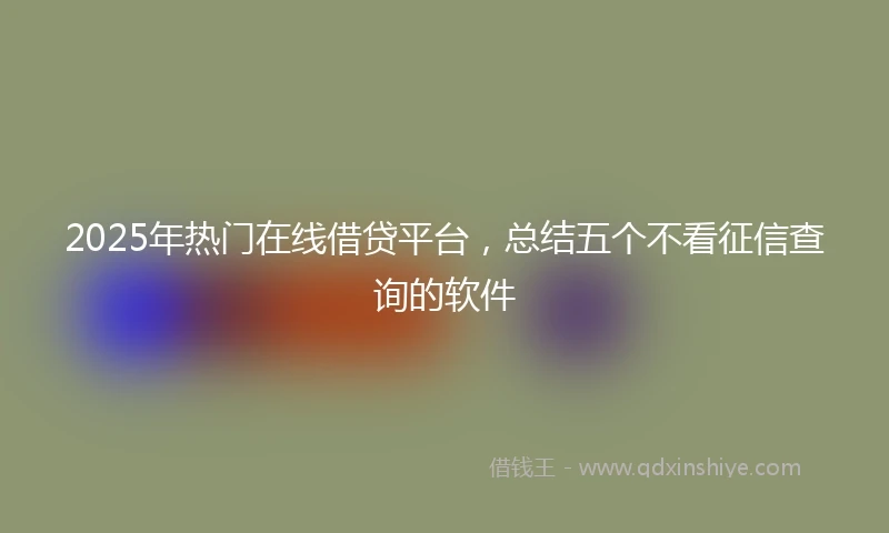 2025年热门在线借贷平台，总结五个不看征信查询的软件