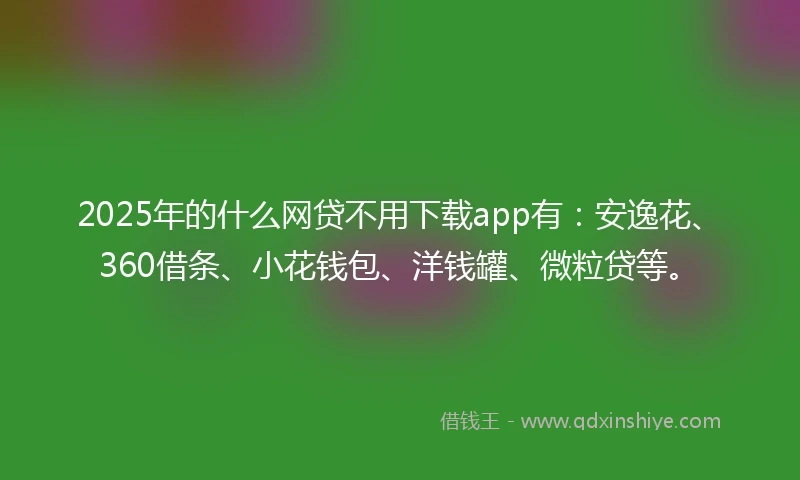 2025年的什么网贷不用下载app有：安逸花、360借条、小花钱包、洋钱罐、微粒贷等。