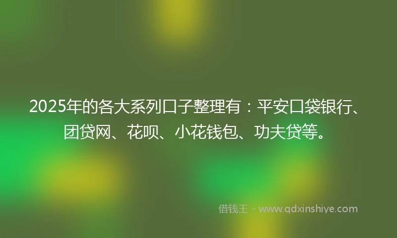2025年的各大系列口子整理有：平安口袋银行、团贷网、花呗、小花钱包、功夫贷等。