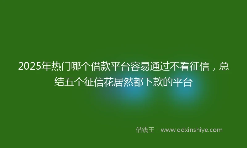 2025年热门哪个借款平台容易通过不看征信，总结五个征信花居然都下款的平台