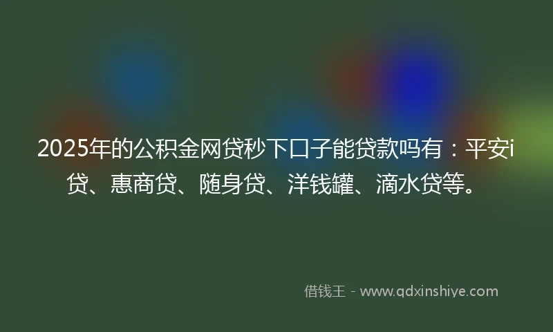 2025年的公积金网贷秒下口子能贷款吗有：平安i贷、惠商贷、随身贷、洋钱罐、滴水贷等。