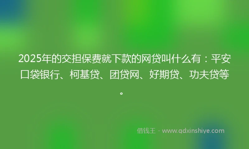 2025年的交担保费就下款的网贷叫什么有：平安口袋银行、柯基贷、团贷网、好期贷、功夫贷等。