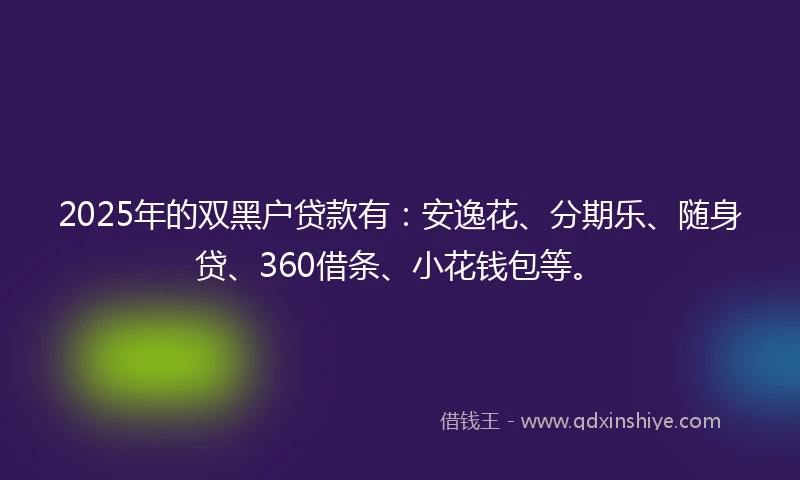 2025年的双黑户贷款有：安逸花、分期乐、随身贷、360借条、小花钱包等。