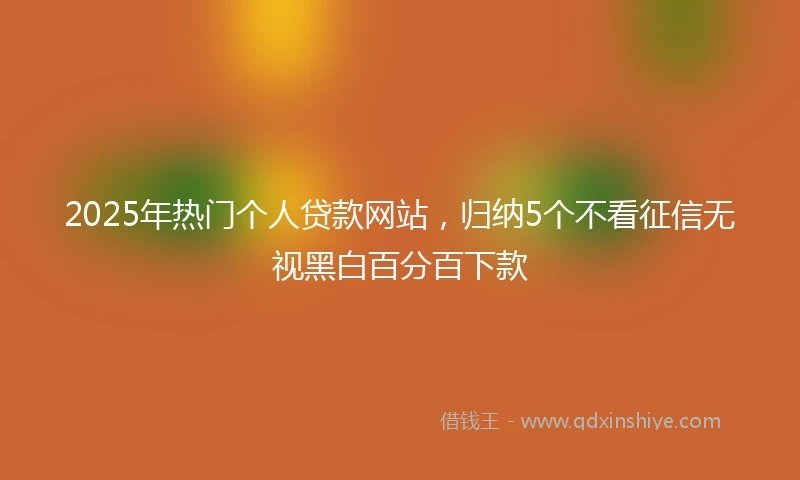2025年热门个人贷款网站,归纳5个不看征信无视黑白百分百下款
