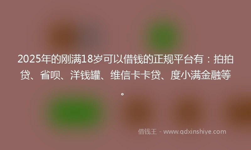 2025年的刚满18岁可以借钱的正规平台有：拍拍贷、省呗、洋钱罐、维信卡卡贷、度小满金融等。