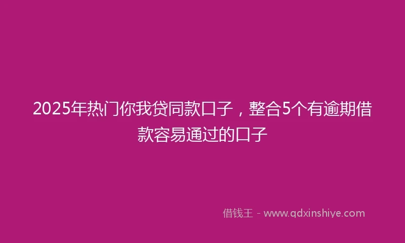 2025年热门你我贷同款口子，整合5个有逾期借款容易通过的口子