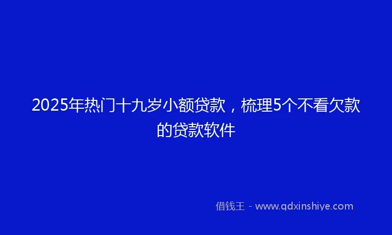 2025年热门十九岁小额贷款，梳理5个不看欠款的贷款软件