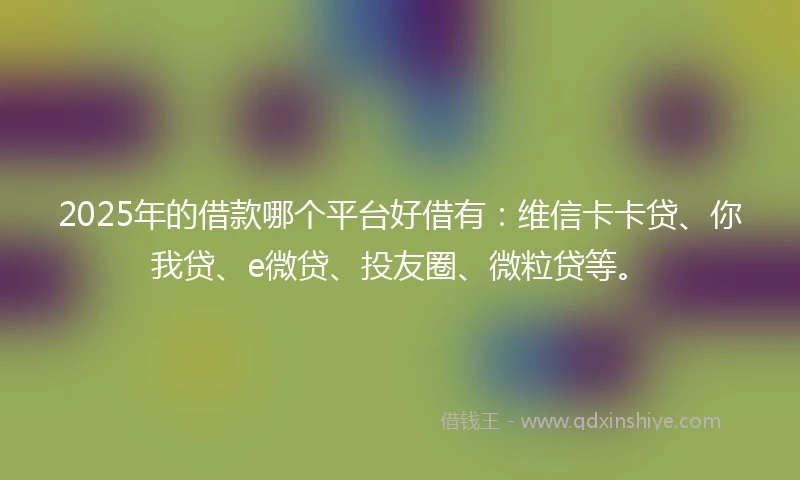 2025年的借款哪个平台好借有：维信卡卡贷、你我贷、e微贷、投友圈、微粒贷等。